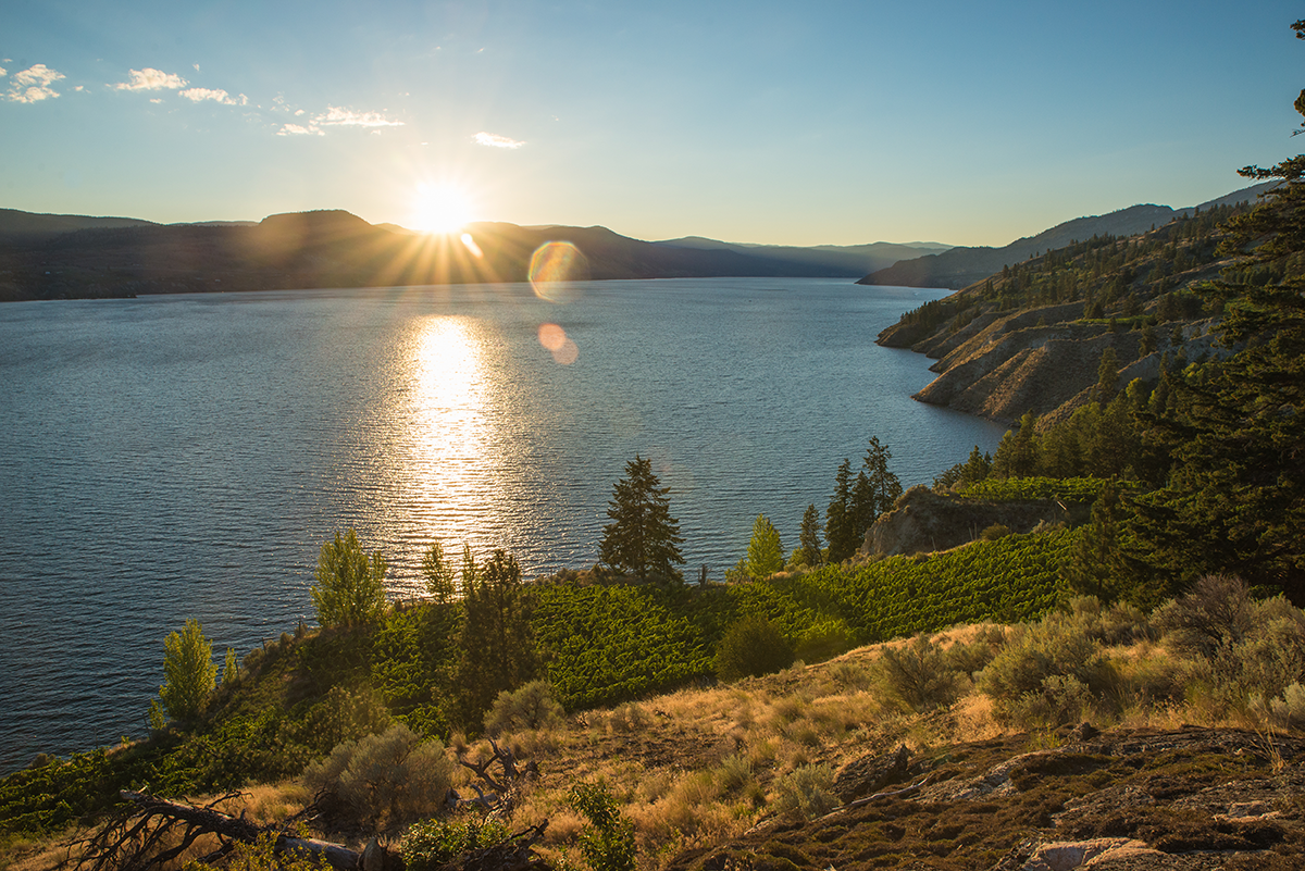 Experience Kelowna with These New Incentives at ONE Water Street